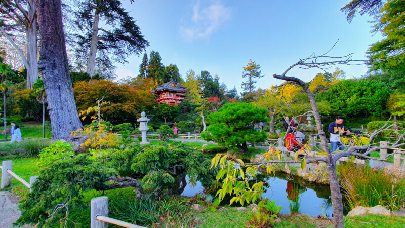Jardim Japonês no Golden Gate Park – Super Viajantes