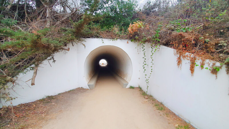 No Parque Julia Pfeiffer Burns State Park na Highway 1 – Super Viajantes.